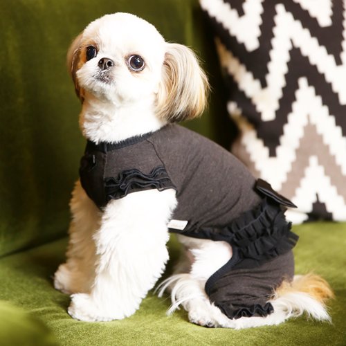 テラヘルツリボンロンパース - GODPIVA（ゴッドピバ）： 犬のお洋服、ドッグウエア＆アクセサリーの専門ブランド GODPIVA（ゴッドピバ）