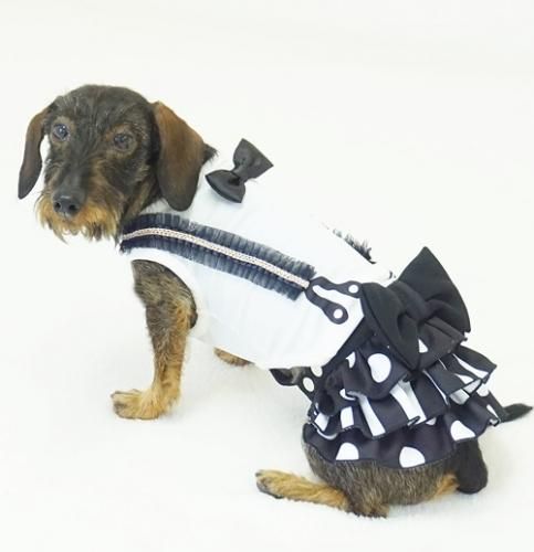 Coolサスペンダータンク Godpiva ゴッドピバ 犬のお洋服 ドッグウエア アクセサリーの専門ブランド Godpiva ゴッドピバ Coolサスペンダータンク Godpiva ゴッドピバ 犬のお洋服 ドッグウエア アクセサリーの専門ブランド Godpiva ゴッドピバ