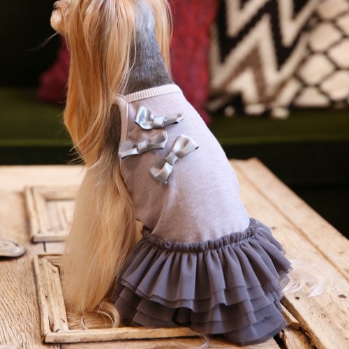 テラヘルツリボンワンピース - GODPIVA（ゴッドピバ）： 犬のお洋服、ドッグウエア＆アクセサリーの専門ブランド GODPIVA（ゴッドピバ）