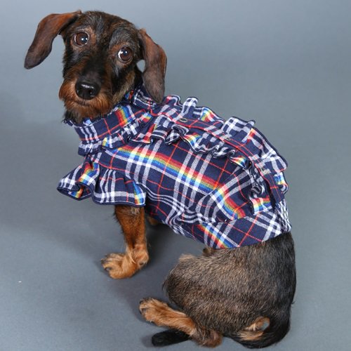 フリルブラウス（レインボーチェック） - GODPIVA（ゴッドピバ）： 犬のお洋服、ドッグウエア＆アクセサリーの専門ブランド  GODPIVA（ゴッドピバ）