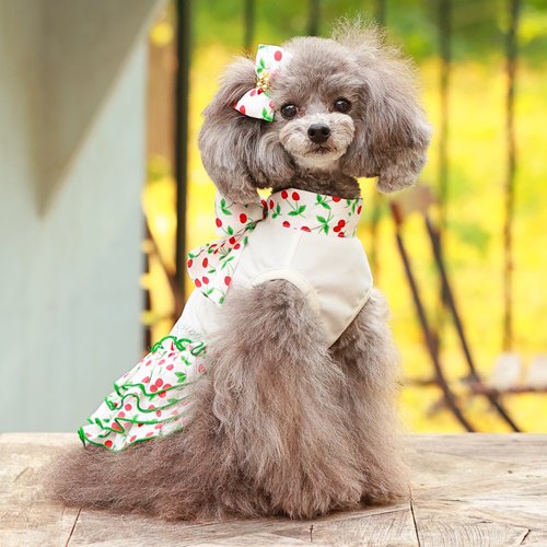 COOLさくらんぼワンピース - GODPIVA（ゴッドピバ）： 犬のお洋服 
