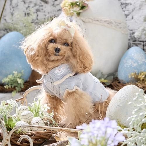 GODPIVA ハートニット organic cottonハートニット - GODPIVA（ゴッドピバ）： 犬のお
