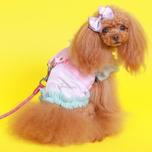 COOLボーダーチュールハーネス - GODPIVA（ゴッドピバ）： 犬のお洋服、ドッグウエア＆アクセサリーの専門ブランド GODPIVA（ゴッドピバ）