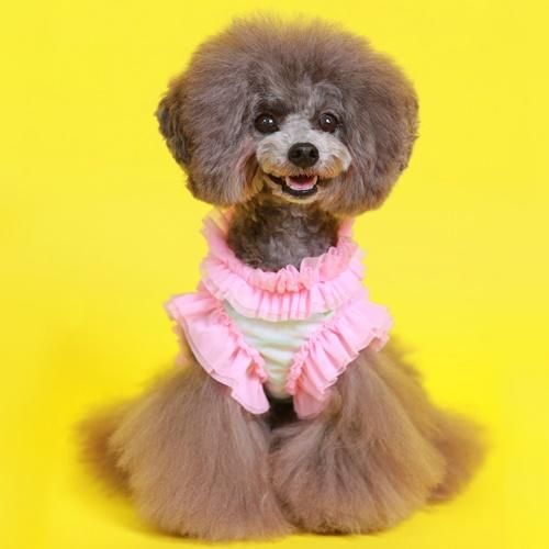 COOLボーダーチュールハーネス - GODPIVA（ゴッドピバ）： 犬の