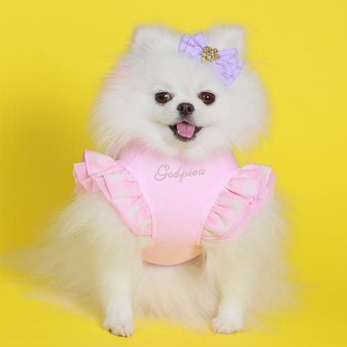 新品 GODPIVA バイカラーチェックワンピース 楽天市場】【0のつく日はポイント5倍&各種クーポン発行中