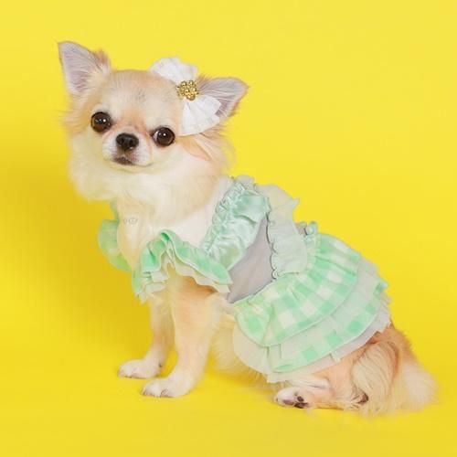 バイカラーチェックワンピース - GODPIVA（ゴッドピバ）： 犬の