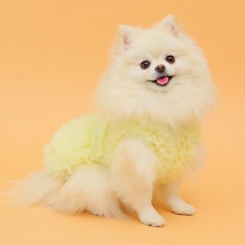 COOLブライトチュチュワンピース - GODPIVA（ゴッドピバ）： 犬