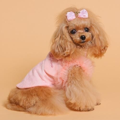 COOLブライトチュチュワンピース - GODPIVA（ゴッドピバ）： 犬