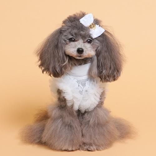COOLブライトチュチュタンク - GODPIVA（ゴッドピバ）： 犬のお