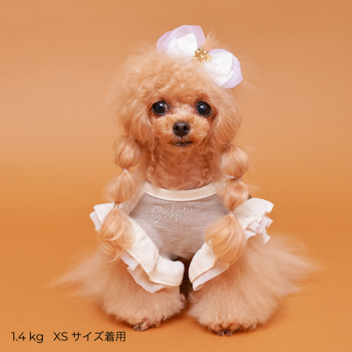 あったかテラボアRIBONワンピース - GODPIVA(ゴッドピバ): 犬 あったかテラボアRIBONワンピース - GODPIVA(ゴッドピバ): 犬