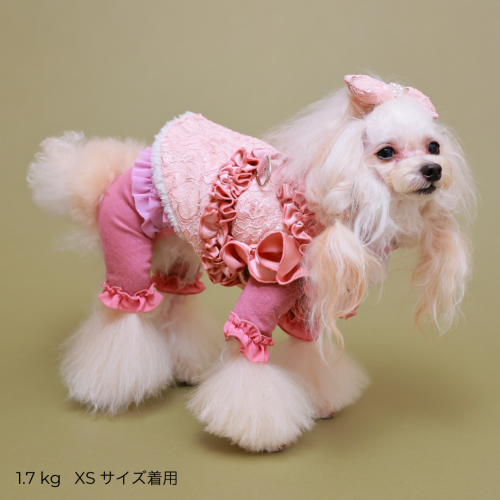 GODPIVA レーシーフラワーボアハーネス レーシーフラワーボアハーネス - GODPIVA(ゴッドピバ): 犬の