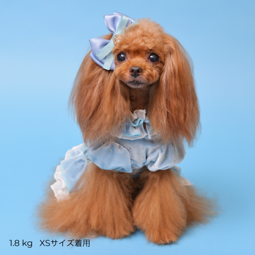 【新品タグ付き未開封】ゴッドピバ新作ドットプリマワンピースSMサイズブラウン 新品タグ付き未開封】ゴッドピバ新作ドットプリマワンピースSM