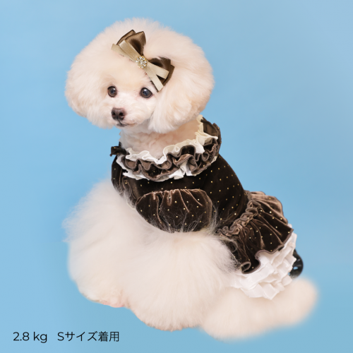 【新品タグ付き未開封】ゴッドピバ新作ドットプリマワンピースSMサイズブラウン 新品タグ付き未開封】ゴッドピバ新作ドットプリマワンピースSM