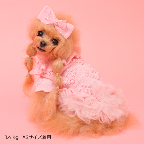 2025AW ローゲージニットワンピース - GODPIVA（ゴッドピバ）： 犬のお