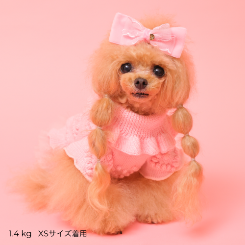 2025AW ローゲージニットワンピース - GODPIVA（ゴッドピバ）： 犬のお