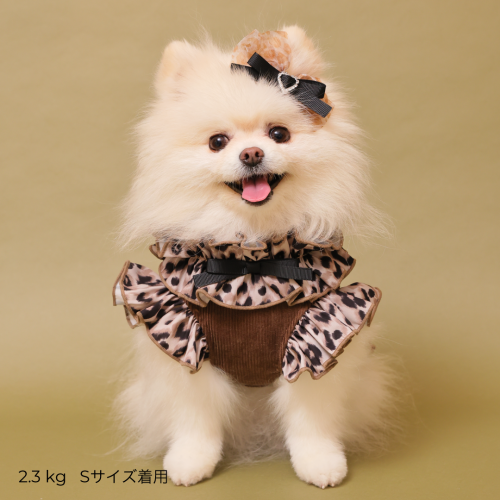 ☆再生産☆テラヘルツレオパードハーネス※11月中旬より順次発送