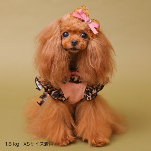 ☆再生産☆テラヘルツレオパードハーネス※11月中旬より順次発送