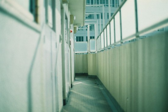 35mmフィルム「富士フイルム PRO400H」｜フィルム、写ルンですmonogram 