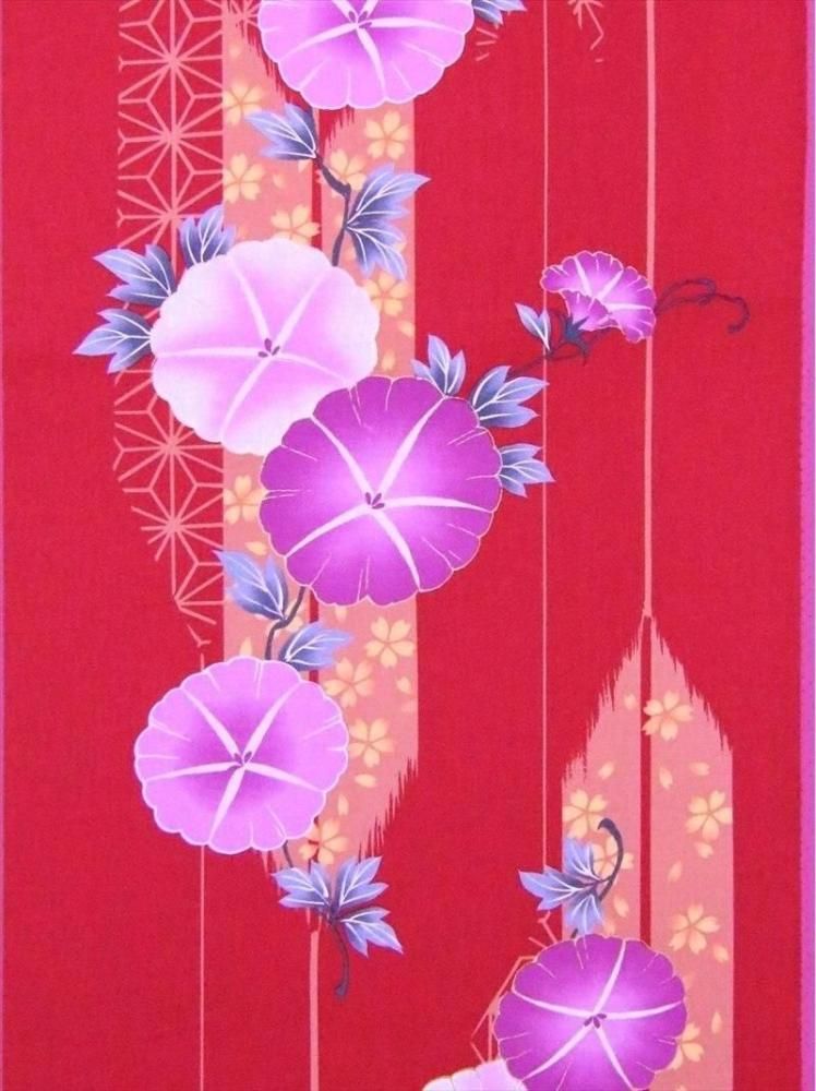 椫ȿʪNo.2