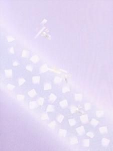夏 付下げ(反物) - 着物・浴衣の反物/教材用浴衣生地の専門店