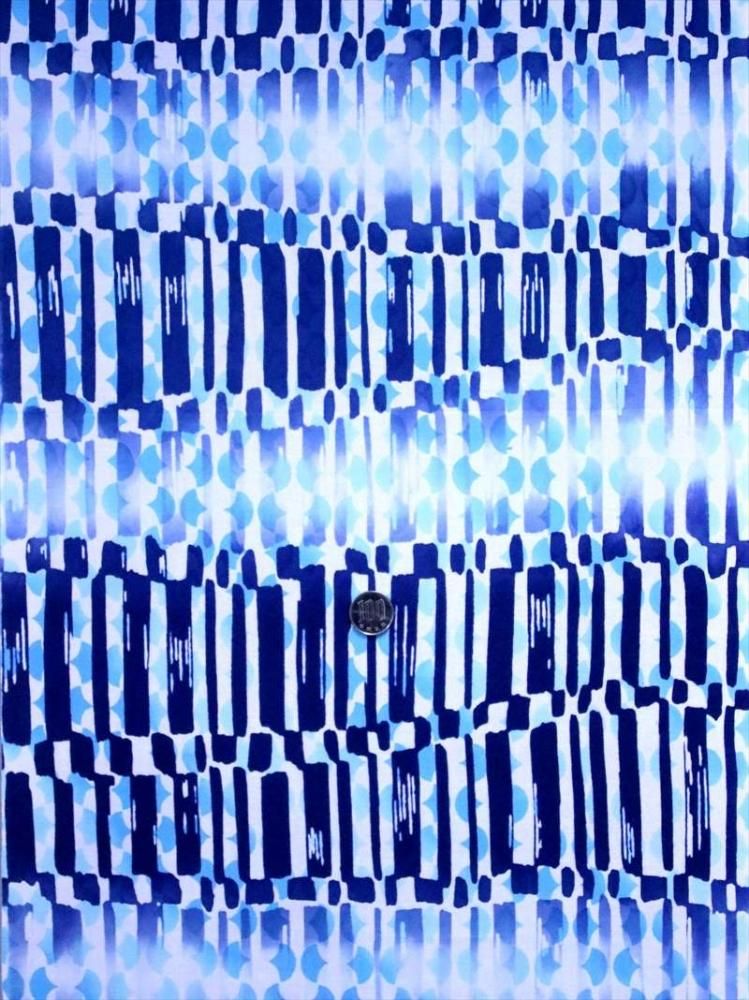 ��� ȿʪ  No.674  �֥롼�ϡ��ʻҥ�����