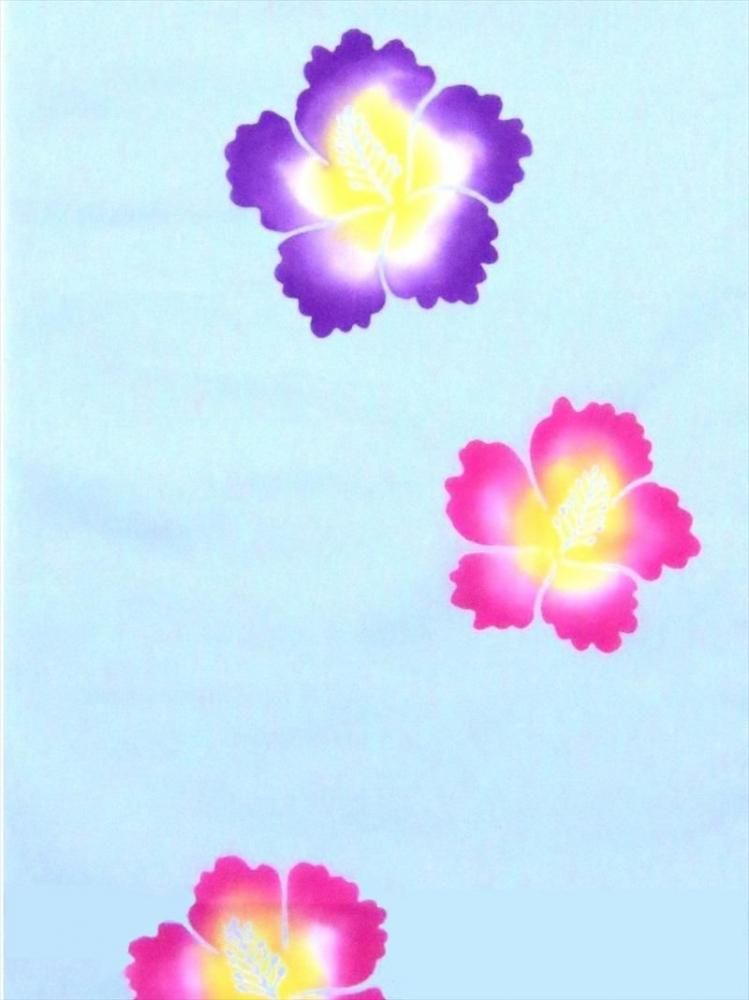  ȿʪ  ͭꡡNo.57  ϥӥ忧