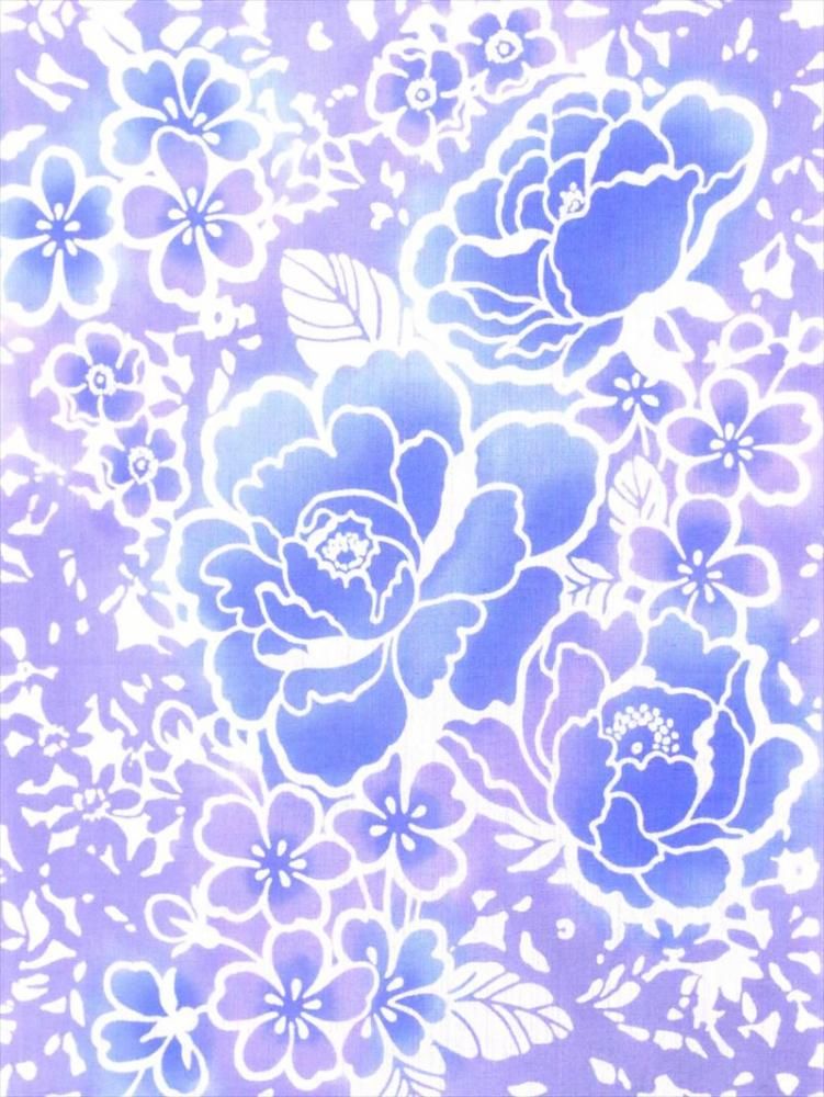  ȿʪ ͭꡡNo.19  졼ϡð