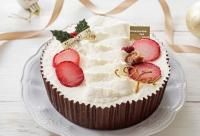 <img class='new_mark_img1' src='https://img.shop-pro.jp/img/new/icons12.gif' style='border:none;display:inline;margin:0px;padding:0px;width:auto;' />SeedΥۥ磻ȥꥹޥࡦоݳ1130ʸڤ