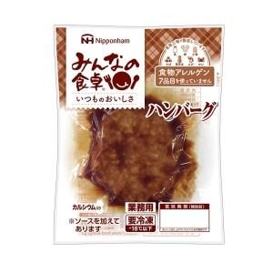 みんなの食卓 ハンバーグ 冷凍 アレルギー対応食品 自然食品らびっと アレルギー対応食品通販 グルテンフリー