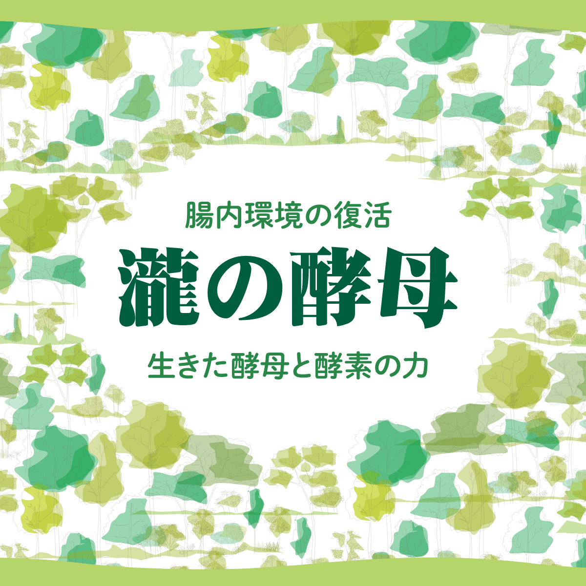 本命ギフト 滝の酵母 なごみコーポレーション 56包 送料込み ryouen.jp