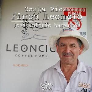 <img class='new_mark_img1' src='https://img.shop-pro.jp/img/new/icons13.gif' style='border:none;display:inline;margin:0px;padding:0px;width:auto;' />00-ꥫ 쥪󥷥濼