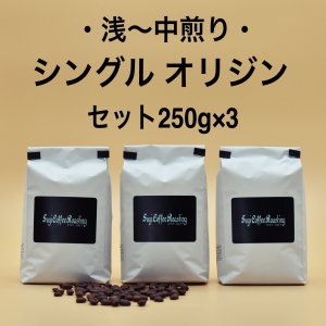 ̵~ꥷ󥰥 ꥸ åȡ250g3WEBꥻåȡ