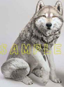 Wolf Gray 012 - MINORITY - 狼（WOLF/ウルフ/オオカミ)グッズショップ エリア