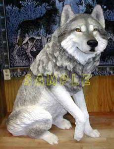 Wolf Gray 012 - MINORITY - 狼（WOLF/ウルフ/オオカミ)グッズショップ
