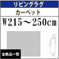 ӥ󥰥饰ޥåȡڥåȥ/W210

240cm