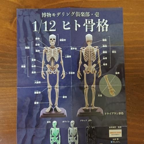 博物モデリング倶楽部 1弾、2弾、3弾コンプセット amyu-mustore_c2111051