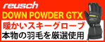 Down Powder GTX