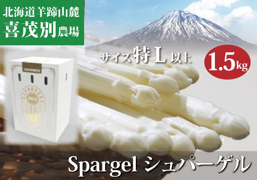 送料込 健康寿命に良い ヨーロッパの歴史ある伝統的な栽培方法 北海道喜茂別農場ホワイトアスパラガス １ ５kg サイズ 特 L 以上 スポーツたきぐち倶知安店 サイバーショップ