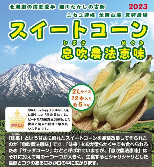 送料込 演歌歌手 細川たかしの古郷 北海道真狩村 真狩農場スイートコーン 恵味 めぐみ 2lサイズ 12本入り 約5kg 21年8月中旬からの出荷分を受付中 スポーツたきぐち倶知安店 サイバーショップ