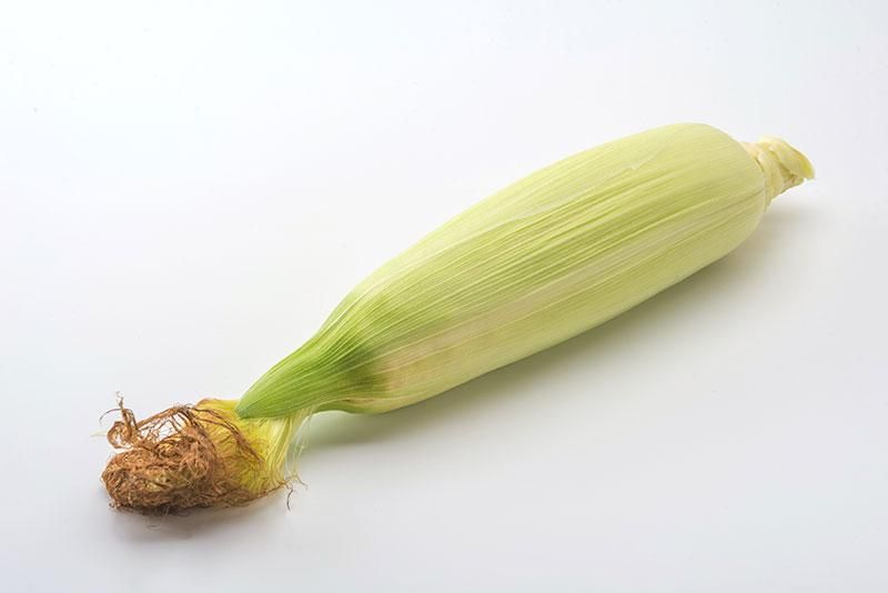 ͥ