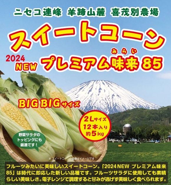 完売のため受付終了]【送料税込】 喜茂別農場スイートコーン 新