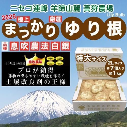 ڱβμ  θŶۿֶ˾פޤäָפ꺬©ˡ  8ǯʪ٥ 2 L  1 kg 7<img class='new_mark_img2' src='https://img.shop-pro.jp/img/new/icons14.gif' style='border:none;display:inline;margin:0px;padding:0px;width:auto;' />