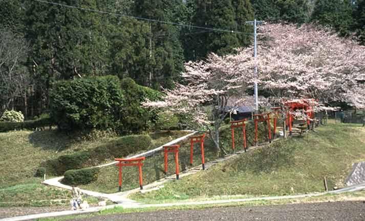 日 さん 土 日 の 楽