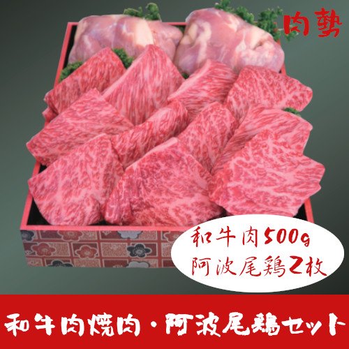 【冷凍】和牛肉焼肉・阿波尾鶏セット（和牛肉500g・阿波尾鶏２枚）セット焼肉用【肉勢】