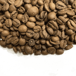 ڥץߥۥꥫ 㥬ϥˡ 100g