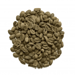 ڢƦۡڥץߥۥɥޥƥ 100g