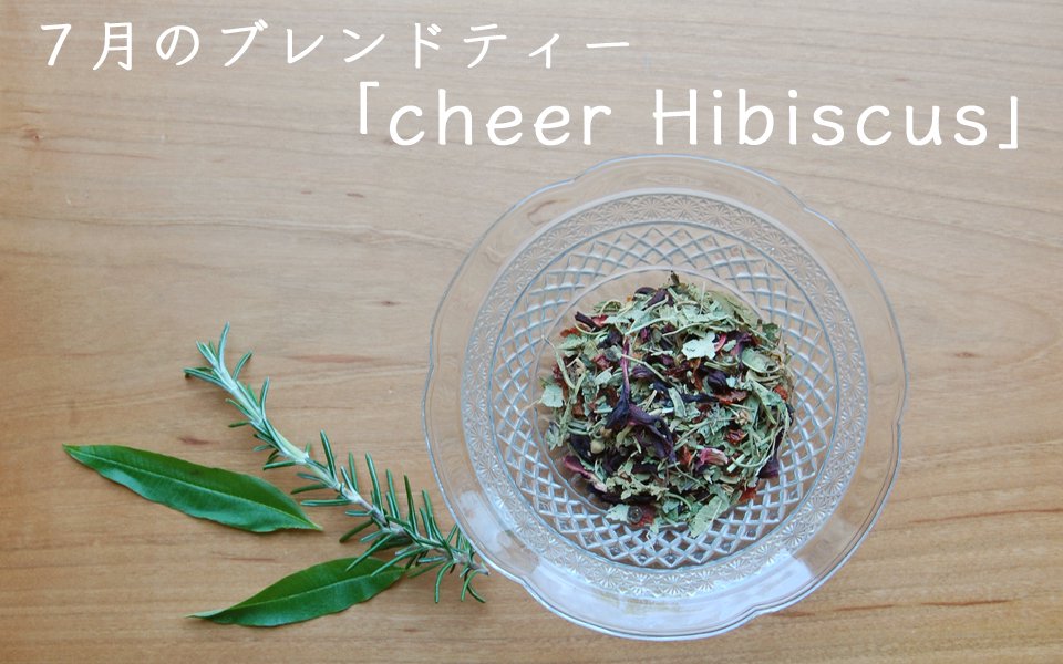 cheer Hibiscus