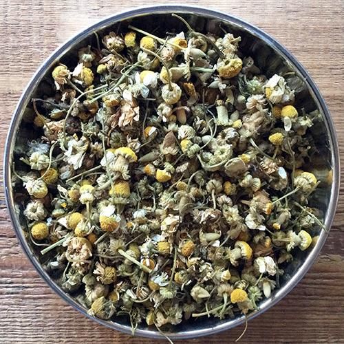 ジャーマンカモミール | ハーブティー専門店 Herb Meister Center 通販