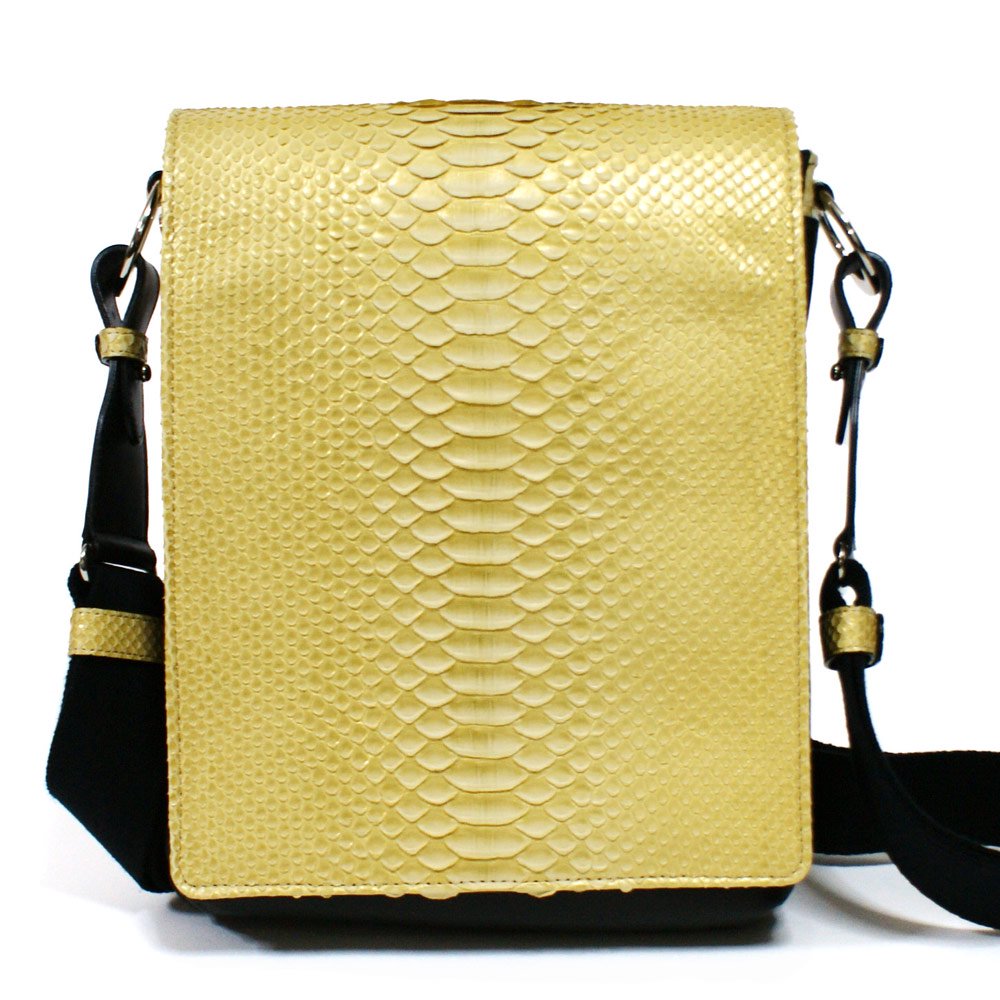 COACH バタフライハンドバッグ ヴィンテージ ヘビ革 蛇皮 革製品