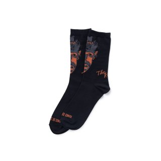 <img class='new_mark_img1' src='https://img.shop-pro.jp/img/new/icons5.gif' style='border:none;display:inline;margin:0px;padding:0px;width:auto;' />RATS GAUGE SOCKS MONSTER 